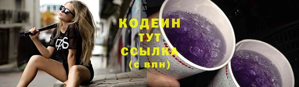 твердый Михайлов