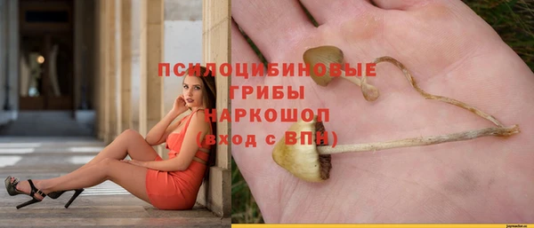 соль курить ск Михайловск