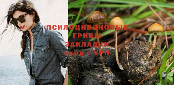 тгк Наволоки
