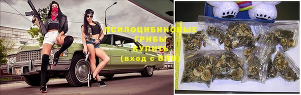 твердый Михайлов