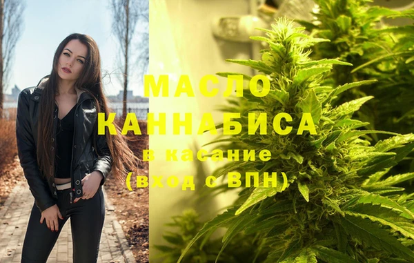 твердый Михайлов