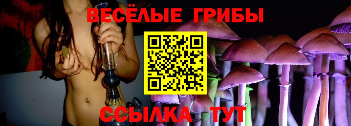 Галлюциногенные грибы GOLDEN TEACHER Тула